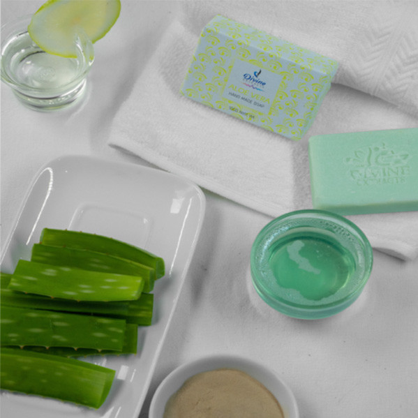 Handmade Aloe Vera Soap